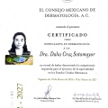 Ampliar imagen: certificate 2