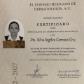 Ampliar imagen: certificate 8