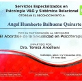 Ampliar imagen: certificate 15