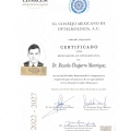 Ampliar imagen: certificate 3