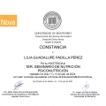 Ampliar imagen: certificate 4
