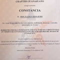 Ampliar imagen: certificate 1
