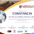 Ampliar imagen: certificate 4