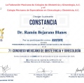 Ampliar imagen: certificate 8