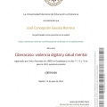 Ampliar imagen: certificate 3