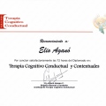 Ampliar imagen: certificate 4