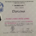 Ampliar imagen: certificate 12