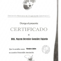 Ampliar imagen: certificate 6