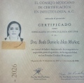 Ampliar imagen: certificate 2