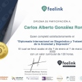 Ampliar imagen: certificate 9