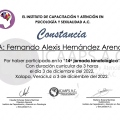 Ampliar imagen: certificate 1