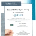 Ampliar imagen: certificate 9