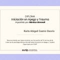Ampliar imagen: certificate 3