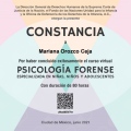 Ampliar imagen: certificate 4