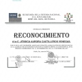 Ampliar imagen: certificate 28