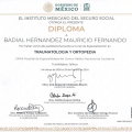 Ampliar imagen: certificate 3