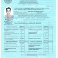 Ampliar imagen: certificate 3