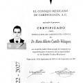 Ampliar imagen: certificate 3
