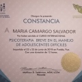 Ampliar imagen: certificate 11