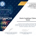 Ampliar imagen: certificate 3