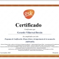 Ampliar imagen: certificate 13
