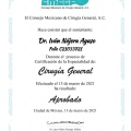 Ampliar imagen: certificate 1