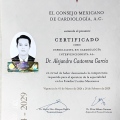 Ampliar imagen: certificate 3