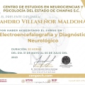 Ampliar imagen: certificate 21