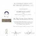 Ampliar imagen: certificate 6