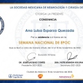 Ampliar imagen: certificate 11