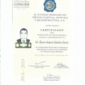 Ampliar imagen: certificate 9