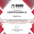 Ampliar imagen: certificate 1