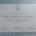 Ampliar imagen: certificate 4