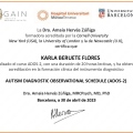 Ampliar imagen: certificate 2