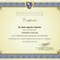 Ampliar imagen: certificate 2