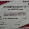 Ampliar imagen: certificate 1