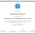 Ampliar imagen: certificate 4