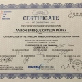 Ampliar imagen: certificate 4