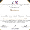 Ampliar imagen: certificate 15