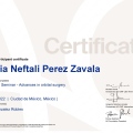 Ampliar imagen: certificate 5