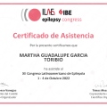 Ampliar imagen: certificate 13