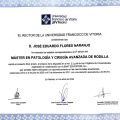 Ampliar imagen: certificate 7