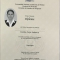 Ampliar imagen: certificate 2