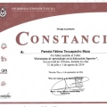 Ampliar imagen: certificate 14