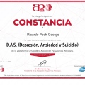 Ampliar imagen: certificate 13