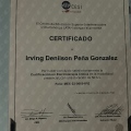 Ampliar imagen: certificate 2