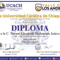 Ampliar imagen: certificate 2