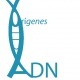 ORIGENES ADN (Laboratorios  Químicas Medina Aguirre)
