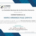 Ampliar imagen: certificate 2