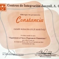Ampliar imagen: certificate 5